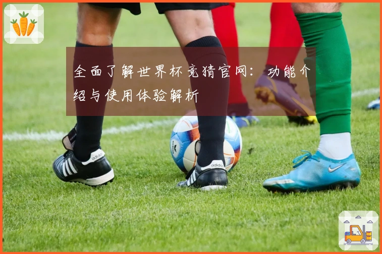 全面了解世界杯竞猜官网：功能介绍与使用体验解析