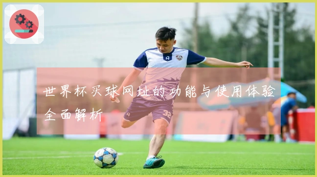 世界杯买球网址的功能与使用体验全面解析