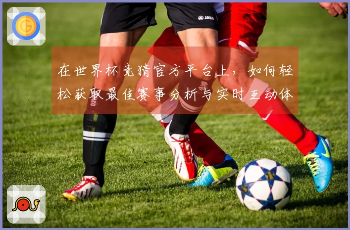 在世界杯竞猜官方平台上，如何轻松获取最佳赛事分析与实时互动体验？