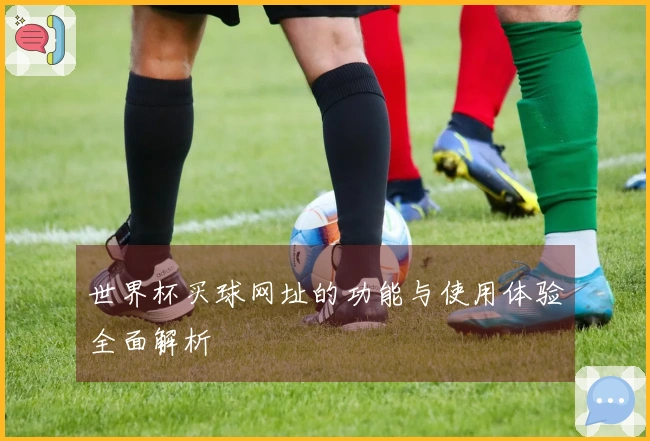 世界杯买球网址的功能与使用体验全面解析
