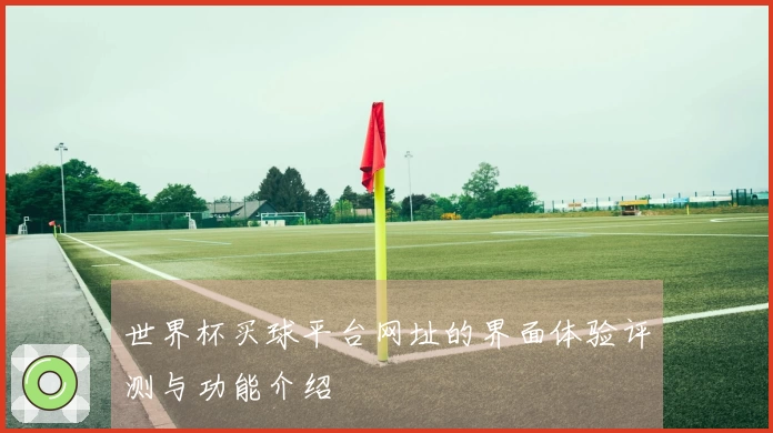 世界杯买球平台网址的界面体验评测与功能介绍