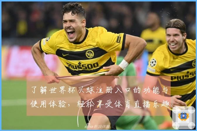了解世界杯买球注册入口的功能与使用体验，轻松享受体育直播乐趣