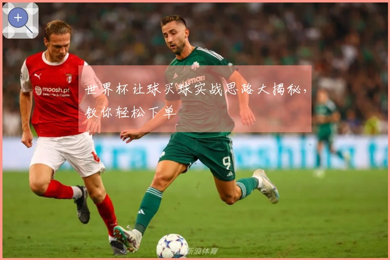 世界杯让球买球实战思路大揭秘，教你轻松下单