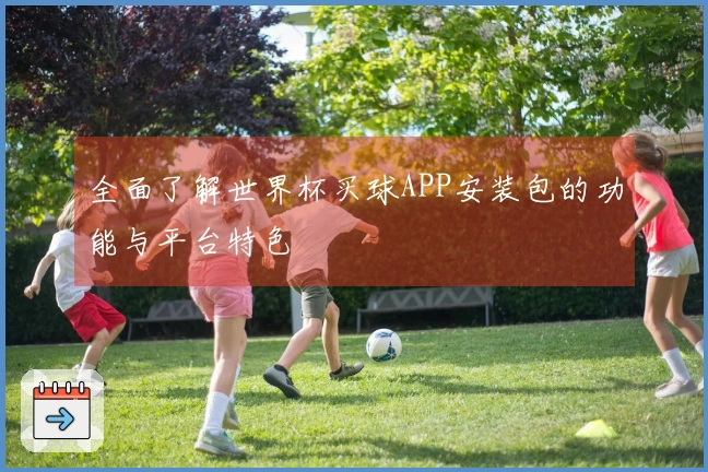 全面了解世界杯买球APP安装包的功能与平台特色