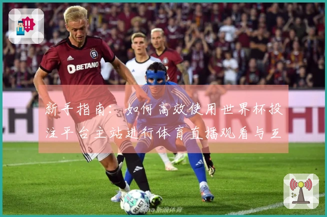 新手指南：如何高效使用世界杯投注平台主站进行体育直播观看与互动