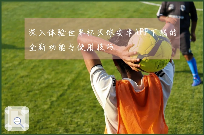 深入体验世界杯买球安卓APP下载的全新功能与使用技巧