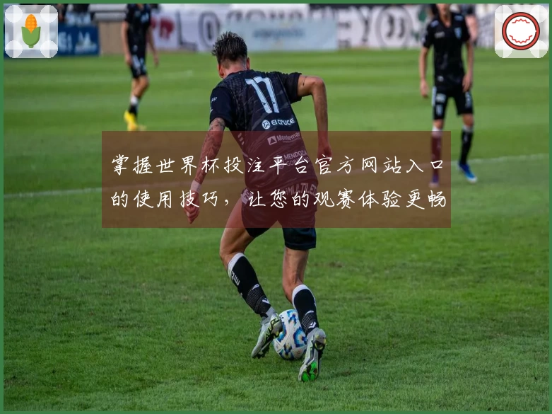 掌握世界杯投注平台官方网站入口的使用技巧，让您的观赛体验更畅快
