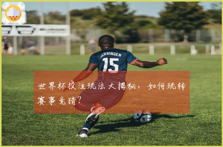世界杯投注玩法大揭秘，如何玩转赛事竞猜？