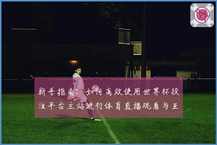 新手指南：如何高效使用世界杯投注平台主站进行体育直播观看与互动