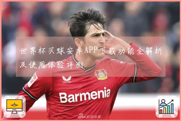 世界杯买球安卓APP下载功能全解析及使用体验评测