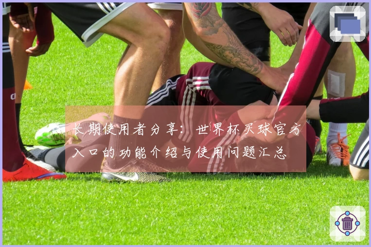 长期使用者分享：世界杯买球官方入口的功能介绍与使用问题汇总