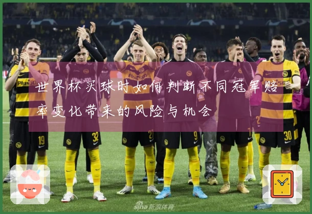 世界杯买球时如何判断不同冠军赔率变化带来的风险与机会