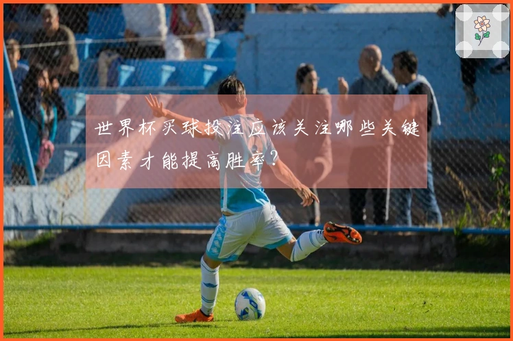 世界杯买球投注应该关注哪些关键因素才能提高胜率？